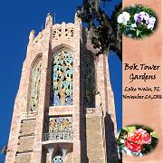 Bok Tower copy